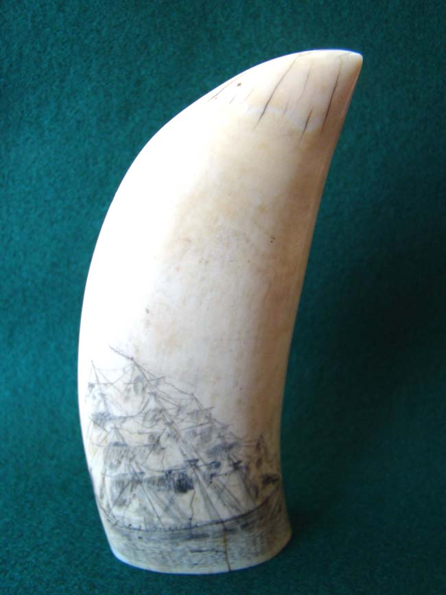 A 19th century scrimshawed whale's tooth featuring a ship listing or floundering
